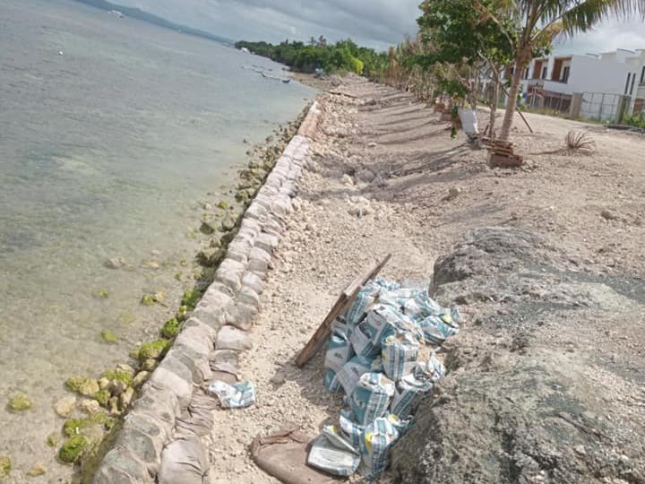 2,884 sqm Beach Property For Sale in Panglao Bohol