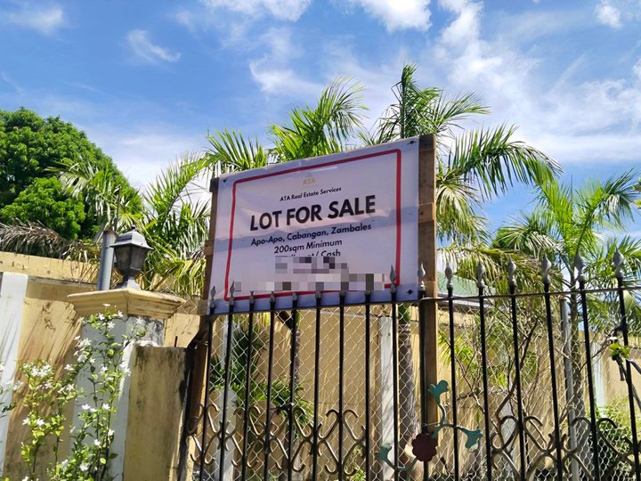 Residential Lot for Sale in Cabangan Zambales, No DownPayment Promo!