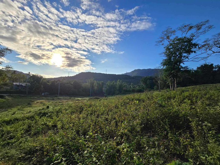 105 sqm Residential Farm For Sale in Batangas City