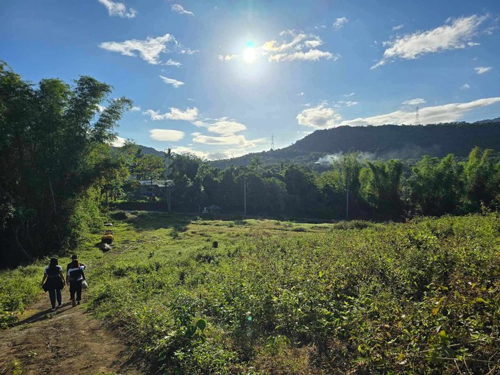 READY TO TRANSFER - 150 sqm Residential Farm For Sale in Batangas City
