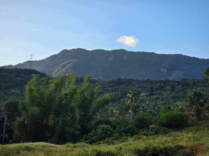 100 sqm Residential Farm For Sale in Batangas City