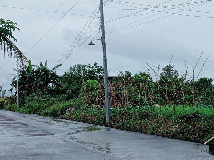 1,000 sqm Residential Lot For Sale