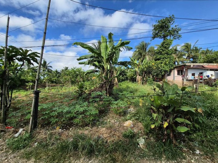 5,500sqm Commercial Lot Along Tayabas Mauban Road Brgy Palale Kanluran Tayabas