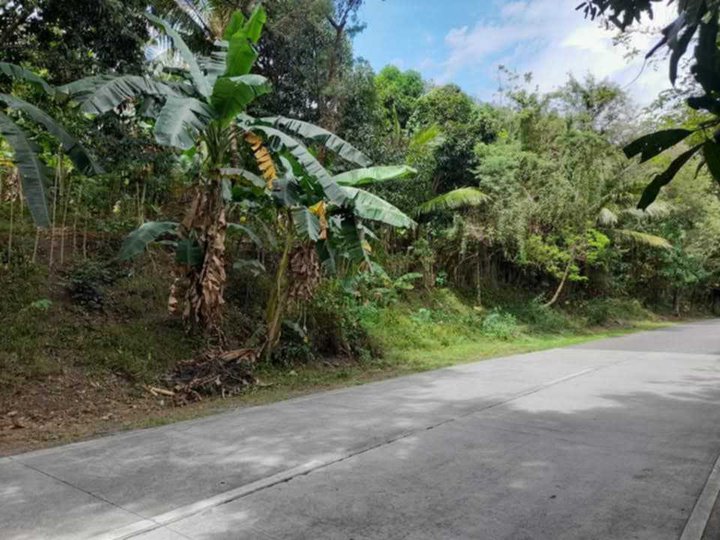 Agricultural land with fruit bearing trees