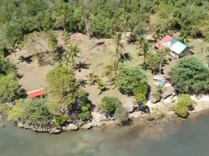 Beach Lot with 3248 SQM size, 3 sides no neighbor, just the mangroves and the sands.
