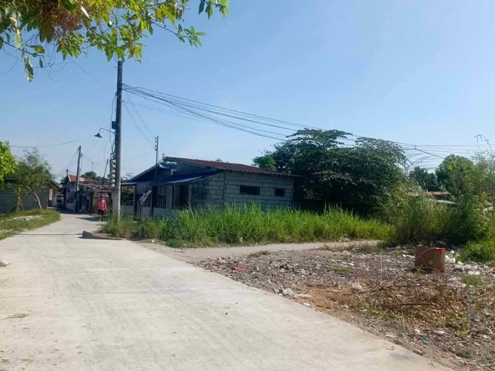 Lot for Sale in San Miguel Tarlac near Robinson's Luisita
