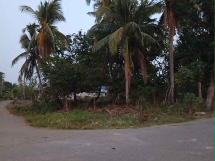 Corner Lot for Sale in Ramon, Isabela [Lots 🚜] (July 2026) in Ramon ...