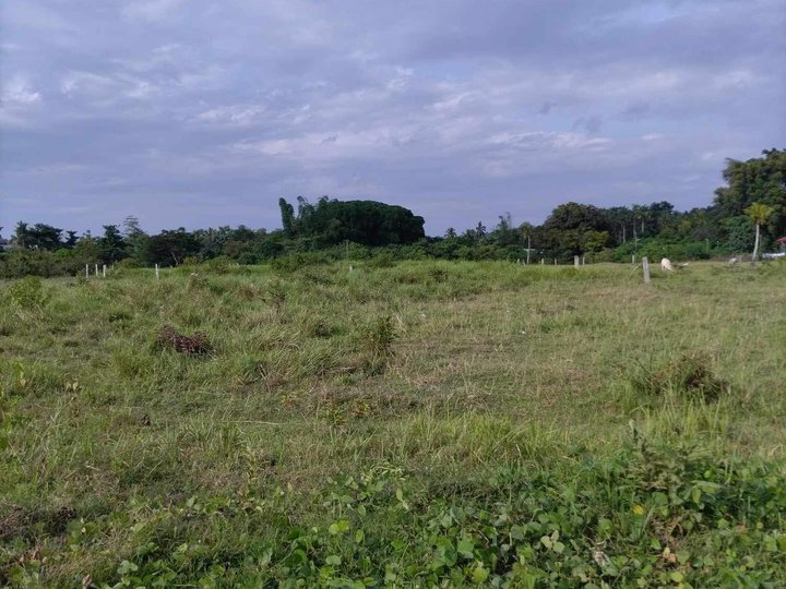 500 sqm Residential Lot For Sale in Samal Davao Del Norte