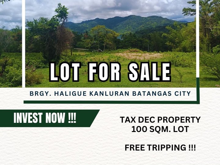 100 sqm Residential Lot For Sale in Batangas City Batangas