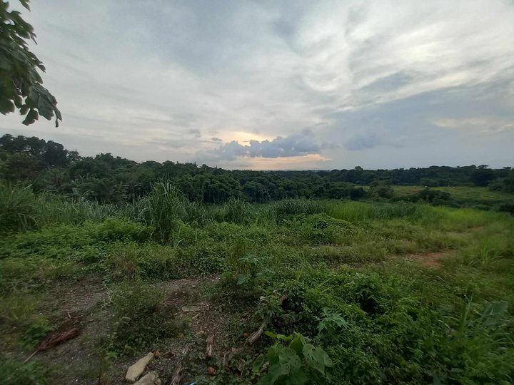2.2 hectares commercial lot for sale Sta.Maria Bulacan along highway [Lot 🚜] (October 2023) in