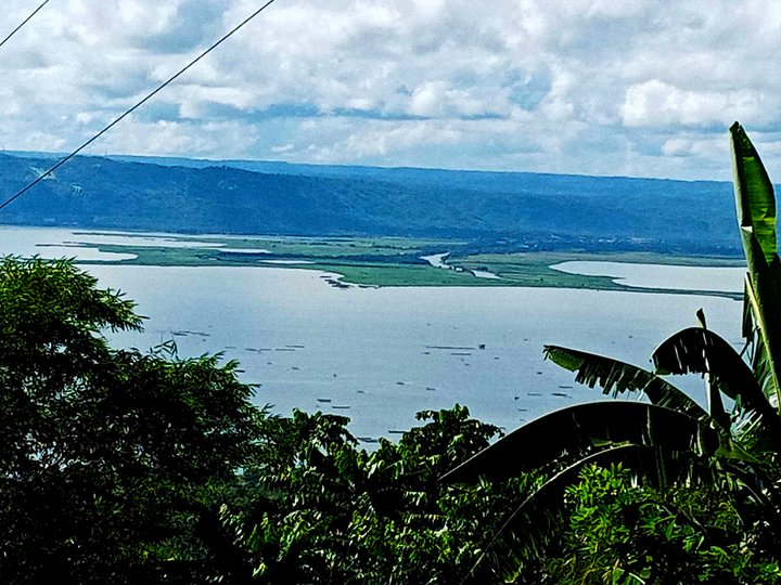 11,395 sqm Farm Lot with Laguna Lake View for Sale in Kabulusan, Pakil, Laguna