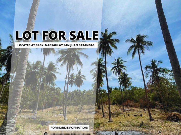 4,800 sqm Raw Land For Sale in San Juan Batangas