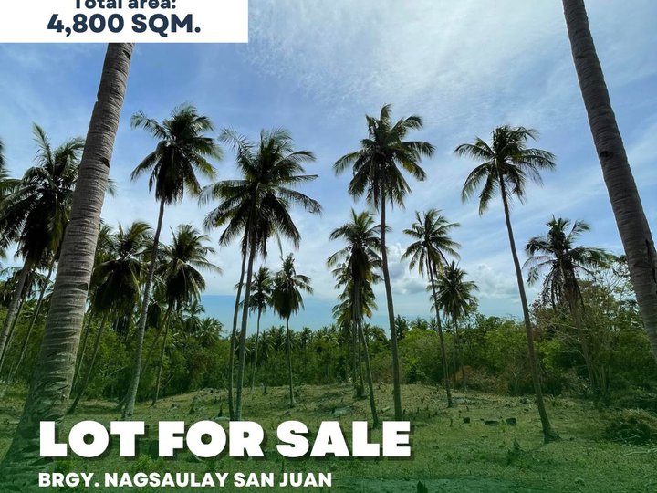 4,800 sqm Land For Sale in San Juan Batangas