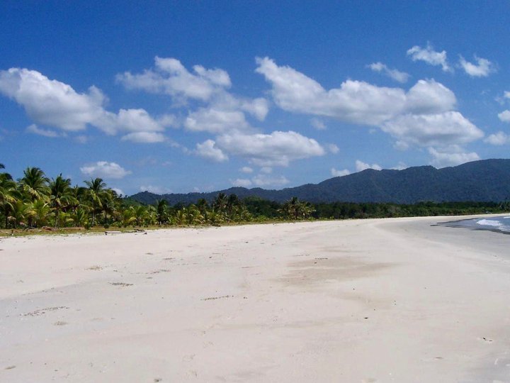 For Sale Beach Front Agricultural Lot in San Vicente, Palawan