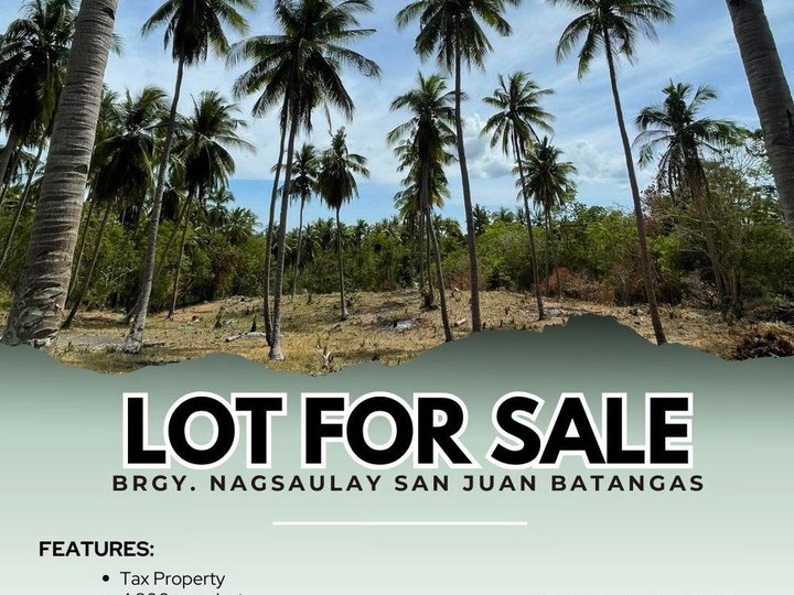 4,800 sqm Raw Land For Sale in San Juan Batangas