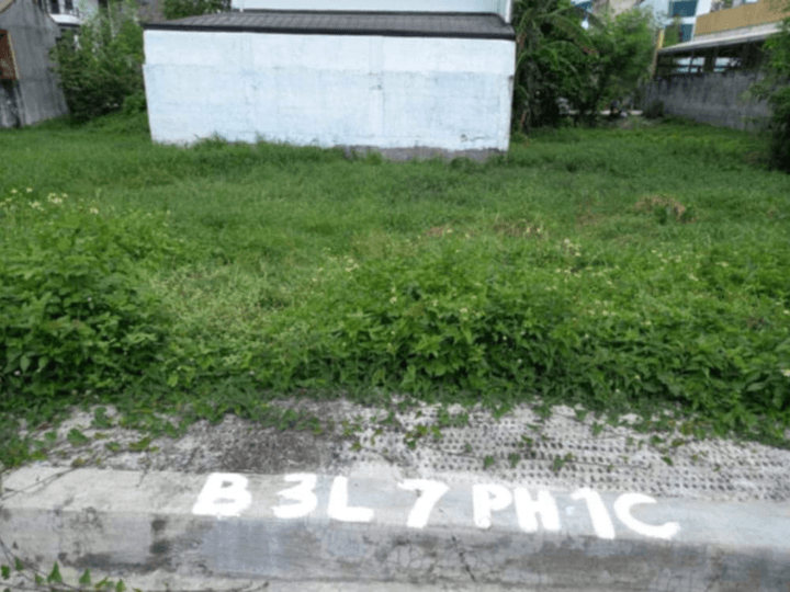 125 sqm Residential Lot For Sale in Binangonan Rizal