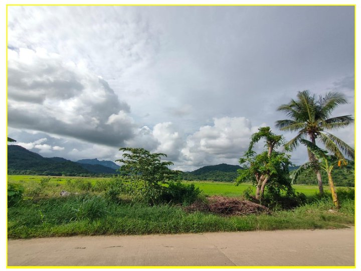 TITLED LOT IN NASUGBU BATANGAS PROPERTY - BULIHAN (Cruzado)