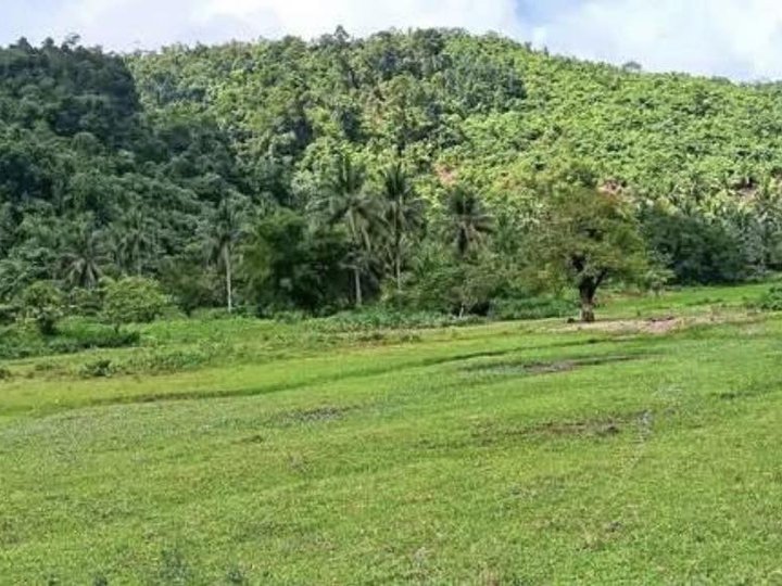 10 HECTARES AGRI FARM LOT - NAUJAN ORIENTAL MINDORO