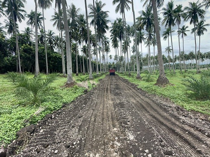 Agricultural Land for sale Near San Juan Batangas