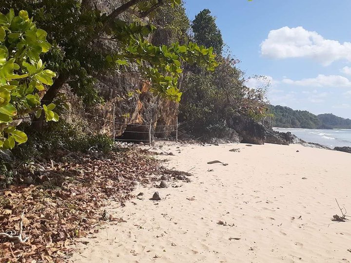 EL NIDO PALAWAN  Beach Property for Sale