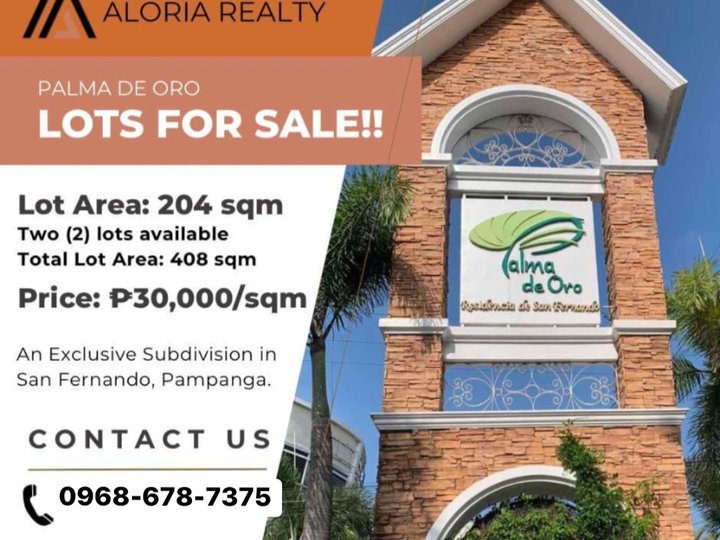 Lots for Sale in Palma De Oro Subdivision, San Fernando Pampanga