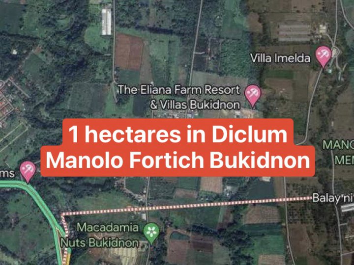 1 hectare Farm Lot For Sale in Diclum, Manolo Fortich Bukidnon