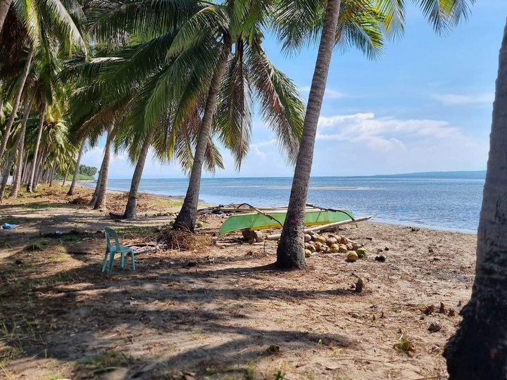 Beachline Property for Private Resort Vacation House in Davao Oriental