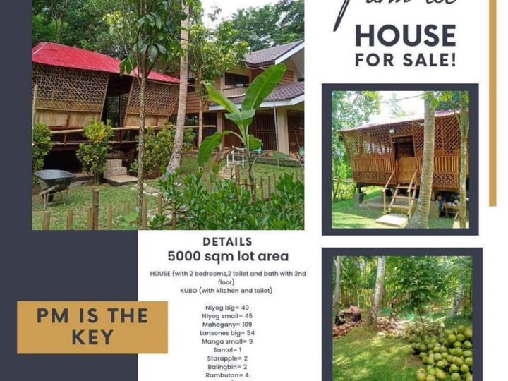 Affordable Farm House & Lot 5,000 sqm Agri Farm For Sale in Laguna