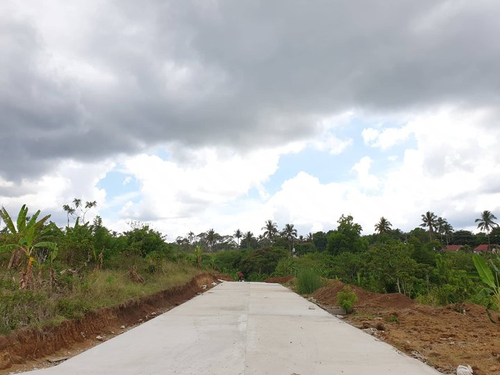 Residential lot along the road in Silang Cavite for Sale