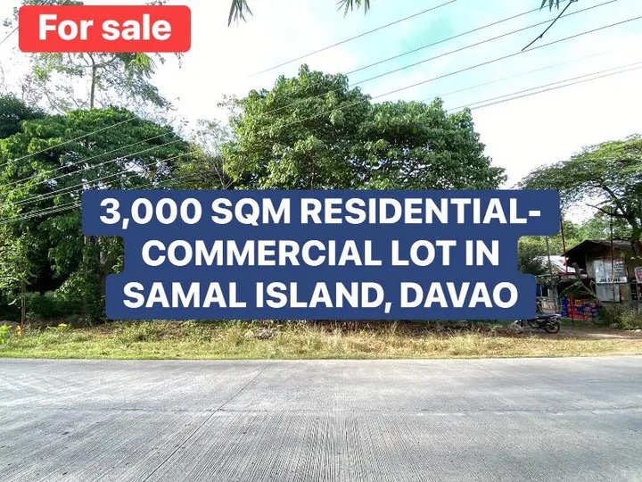 3,000 sqm Residential-Commercial Lot For Sale in Samal Davao Del Norte