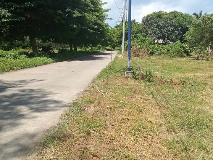 1000 sqm Agricultural Farm Lot for Sale in Tiaong Quezon