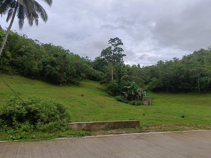 7,381 sqm Raw Land For Sale in Corella Bohol