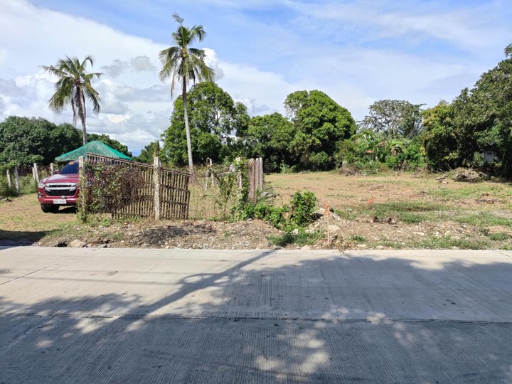 125 sqm Residential Lot For Sale in San Juan Batangas