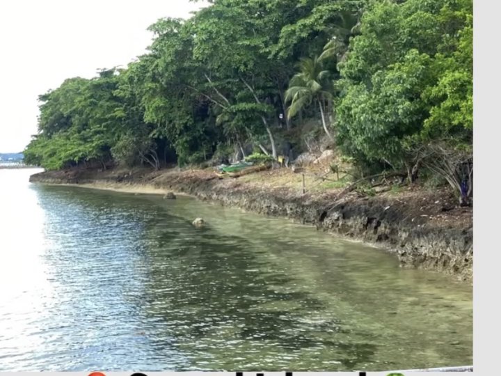 2.46 hectares Beach Property For Sale in Samal Davao del Norte