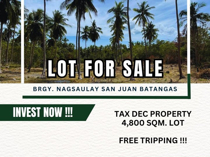 4,800 sqm Residential Farm For Sale in San Juan Batangas