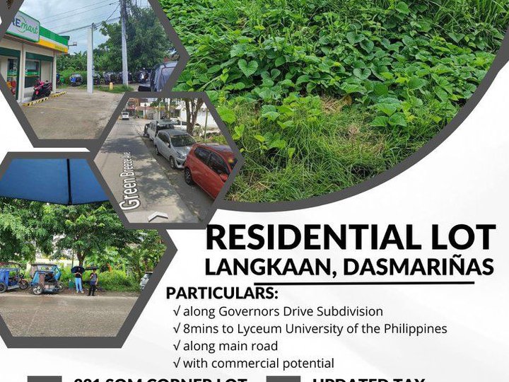 221 Residential/Commercial Lot in Dasmarinas City, Cavite