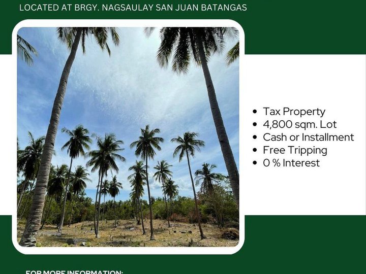 4,800 sqm Residential Lot For Sale in San Juan Batangas