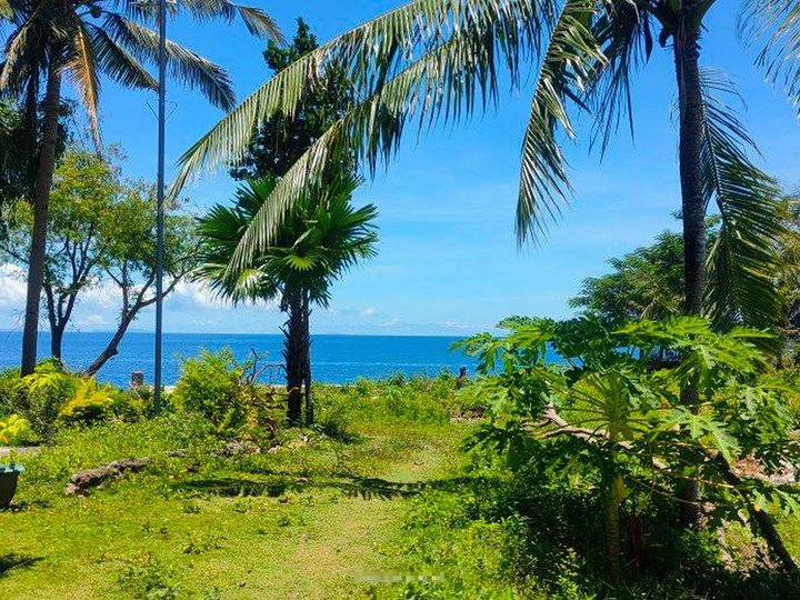 Beach Front LOT (Corner) 98 sqm for Sale in Alcoy Cebu