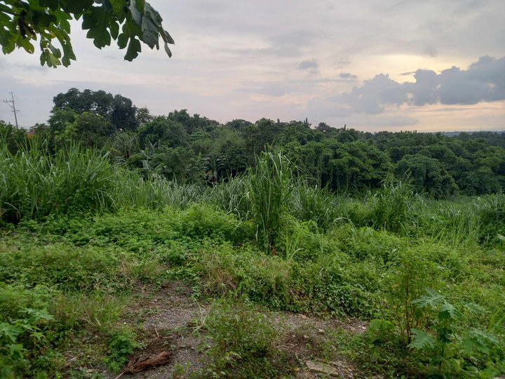 2.2 hectares commercial lot for sale Sta.Maria Bulacan along highway