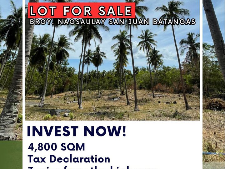 4,800 sqm Residential Farm For Sale in San Juan Batangas