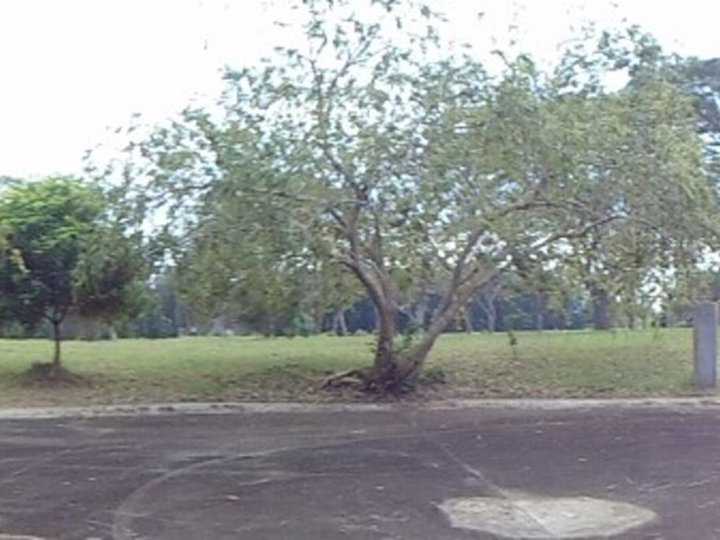 Foreclosed 628 sqm Residential Lot For Sale in Santa Rosa Laguna