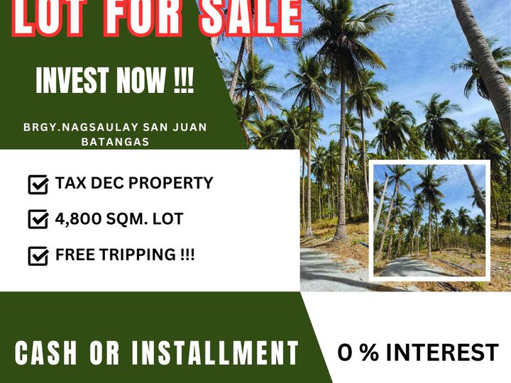 4,800 sqm Residential Lot For Sale in San Juan Batangas
