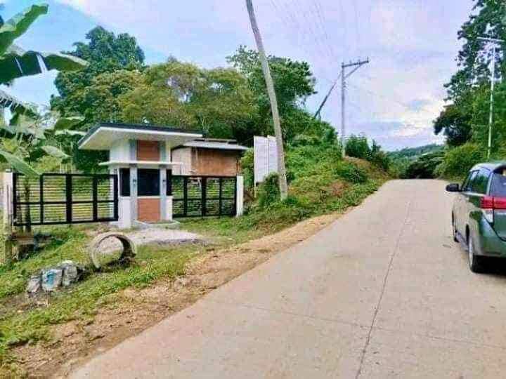 Affordable Lot only in Tubigon Bohol