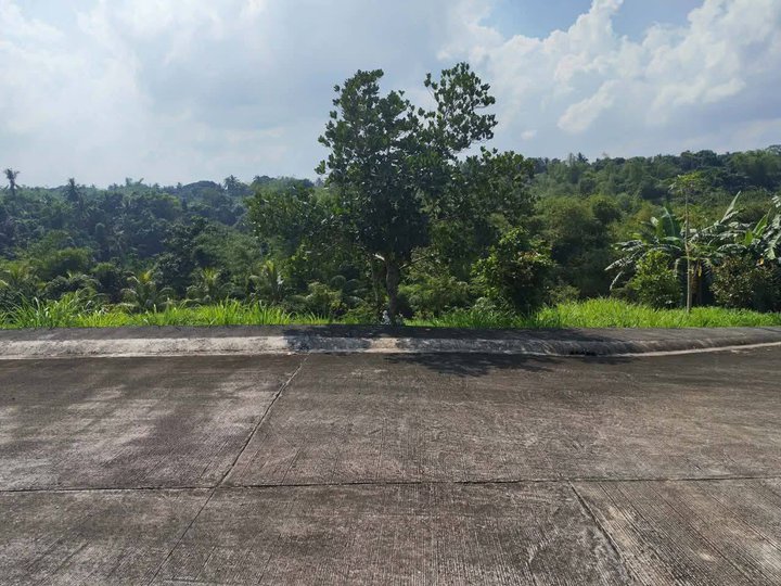 Foreclosed 300 sqm Residential Lot For Sale in Indang Cavite