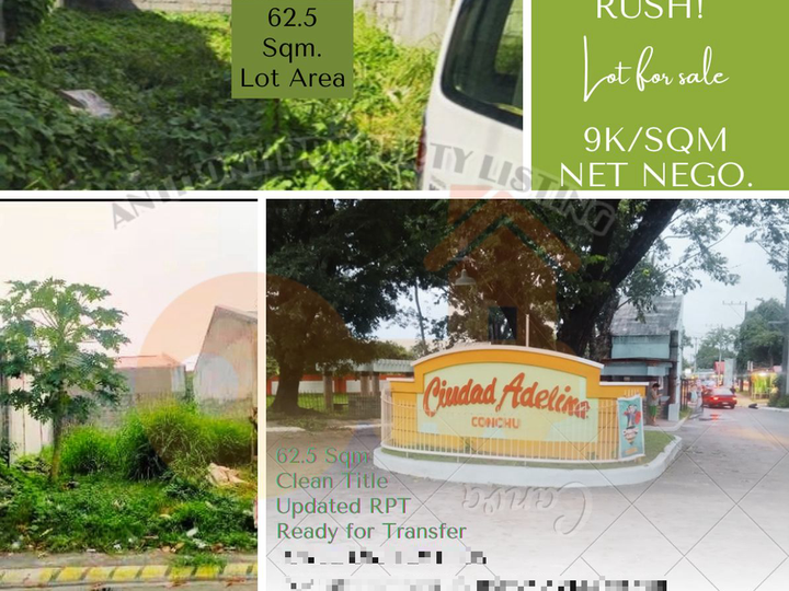 62.5 sqm Residential Lot For Sale in Trece Martires Cavite