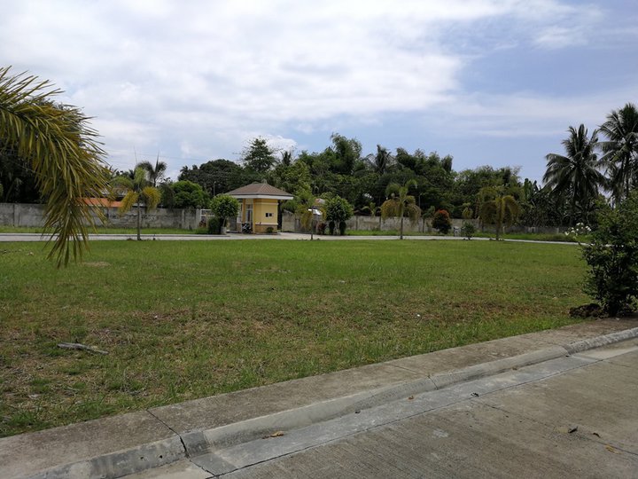 For Sale125 sqm Buildable Residential Lot in Carcar Cebu