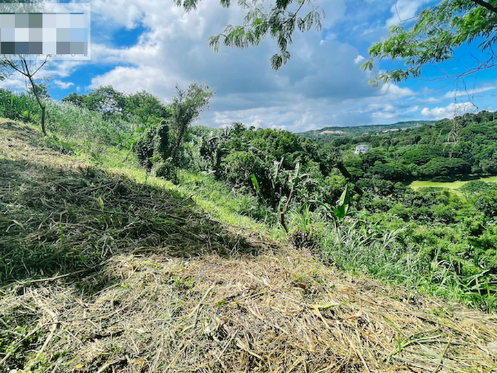 430 sqm Prime Vacant Lot in Eastland Heights Antipolo Rizal