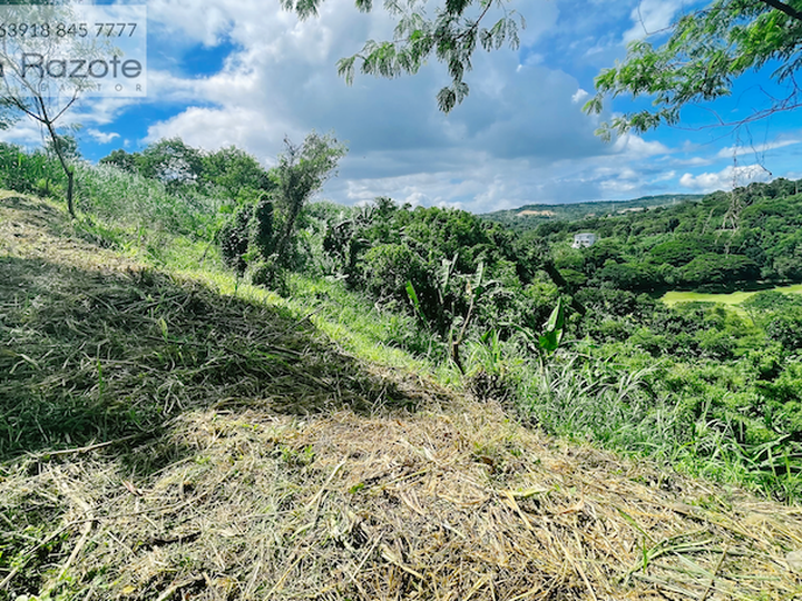 430 sqm Prime Vacant Lot in Eastland Heights Antipolo Rizal