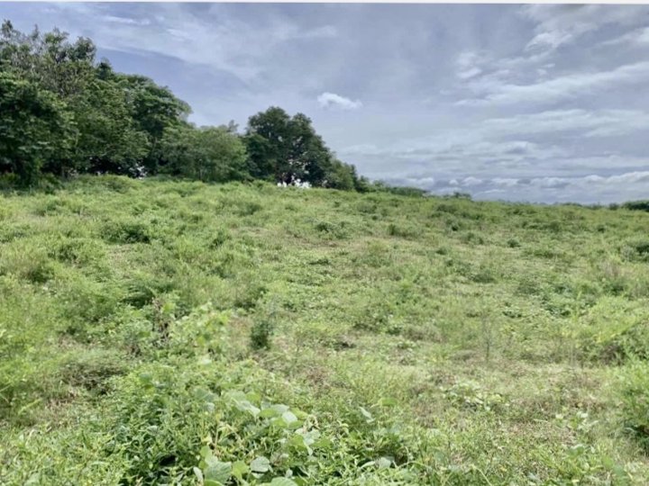 49 Hectares of Prime Raw Land For Sale along Tagaytay-Nasugbu National Highway