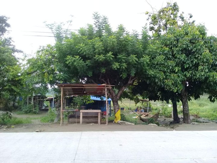 Fir sale 7 hectares at 1,800/pr sqm at Batan hermosa bary sn pedro
